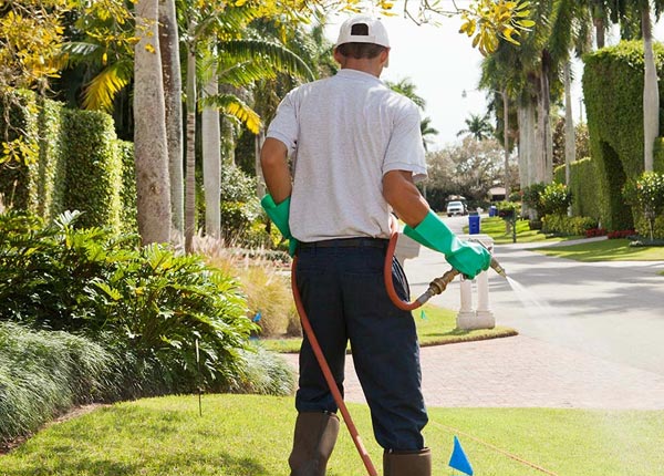 About Bronson KS Pest Control